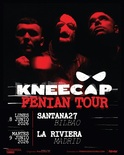 kneecap